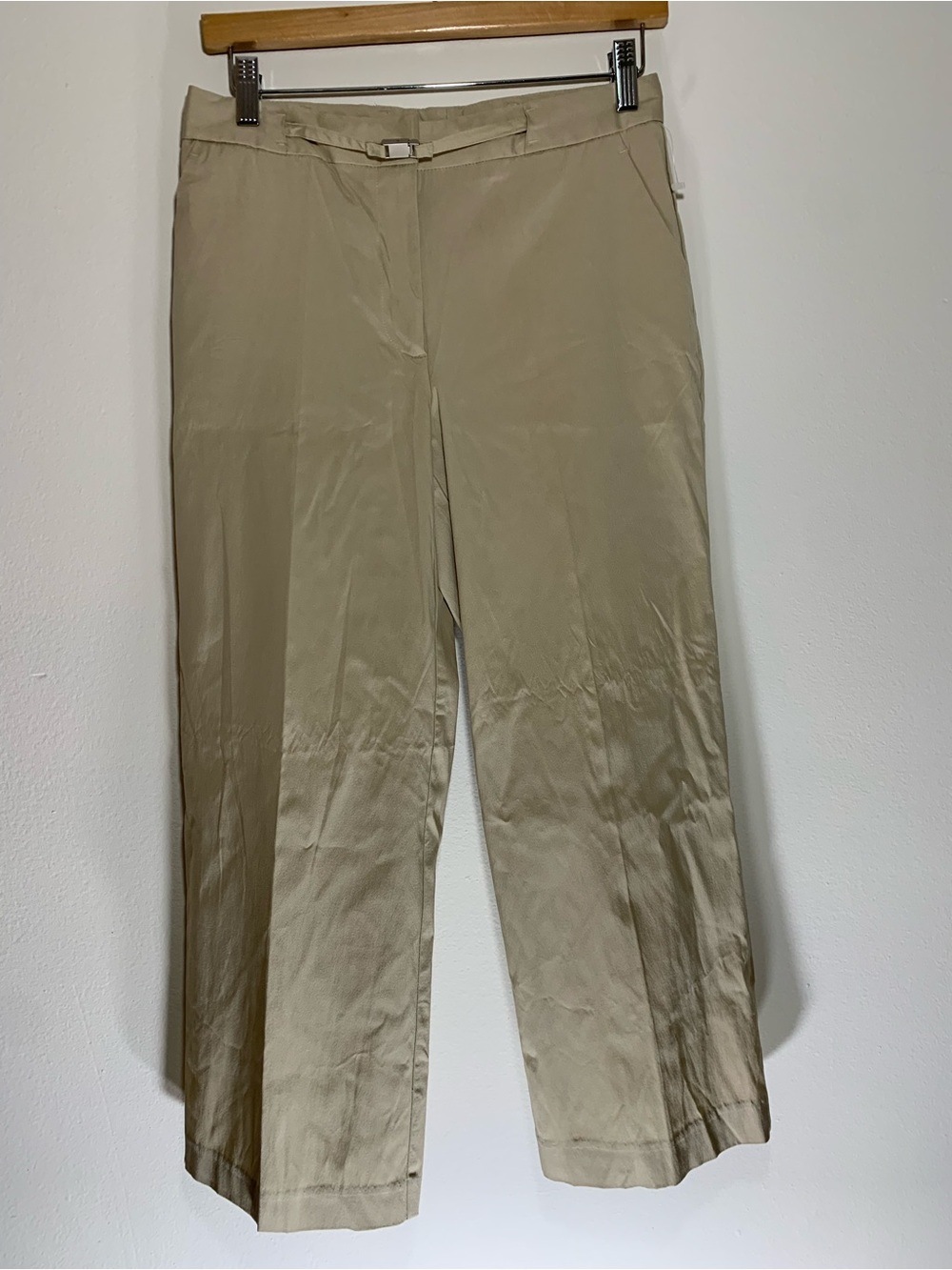 Express Beige Stretch Pants
